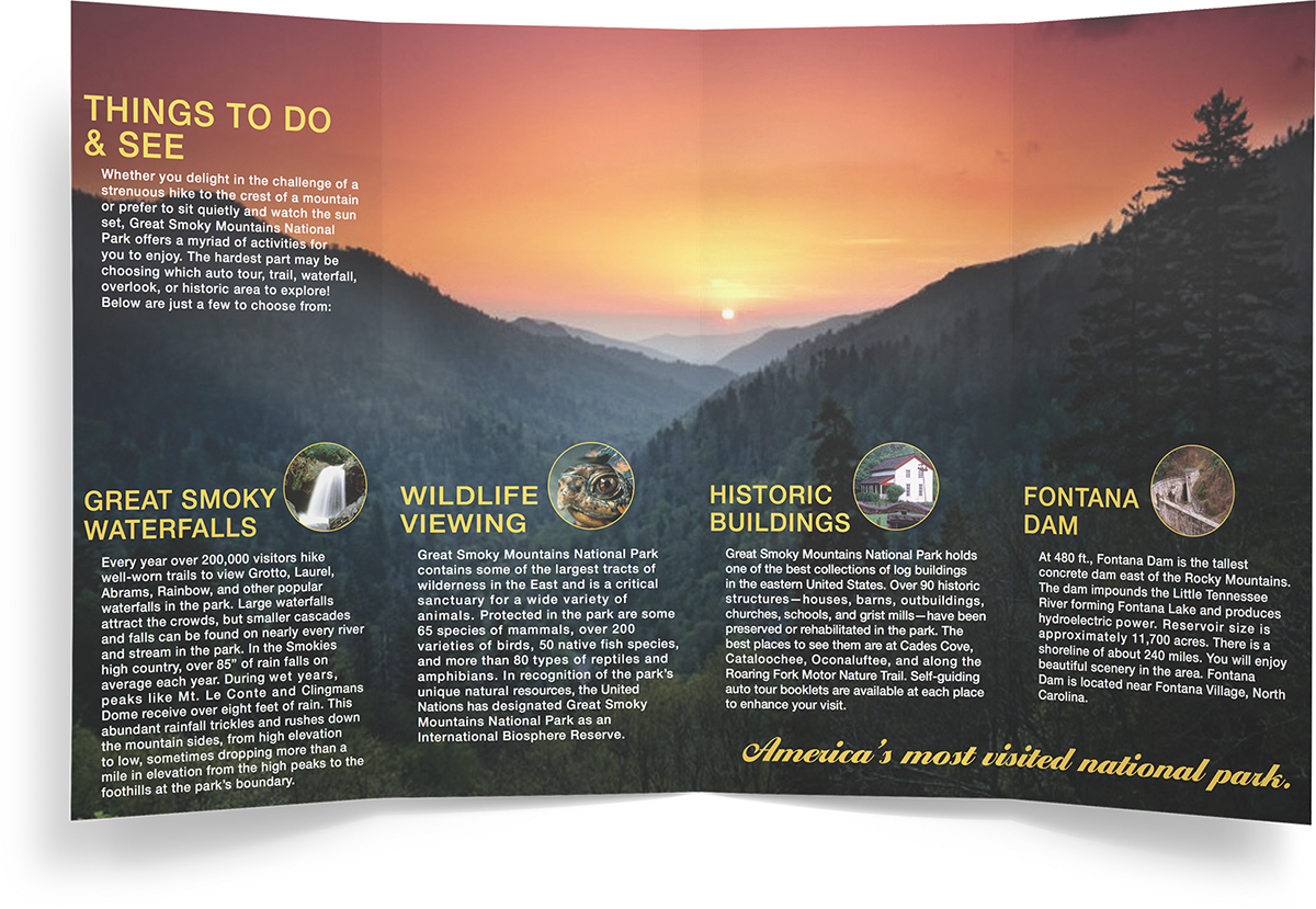 brochure design page layout collateral design