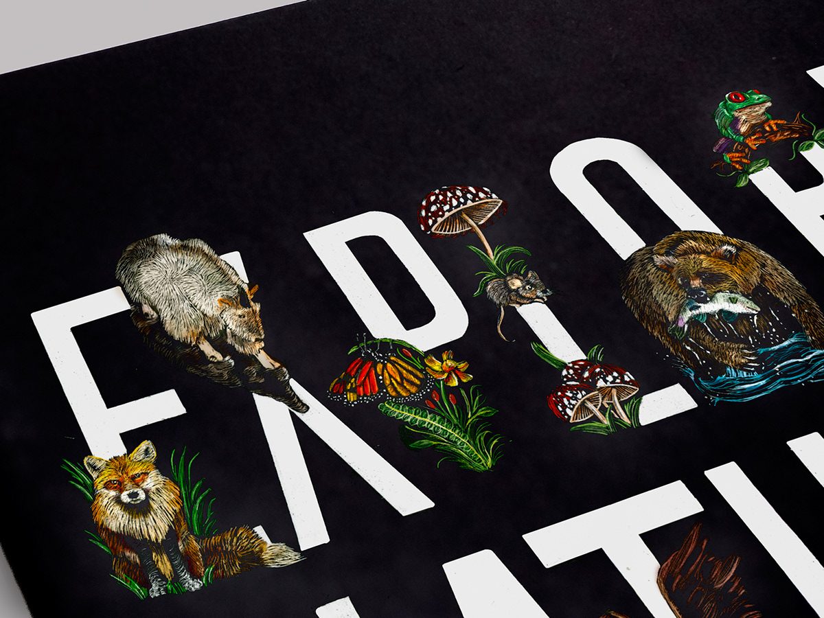annual report Nature Layout illustrated type animals print infographics