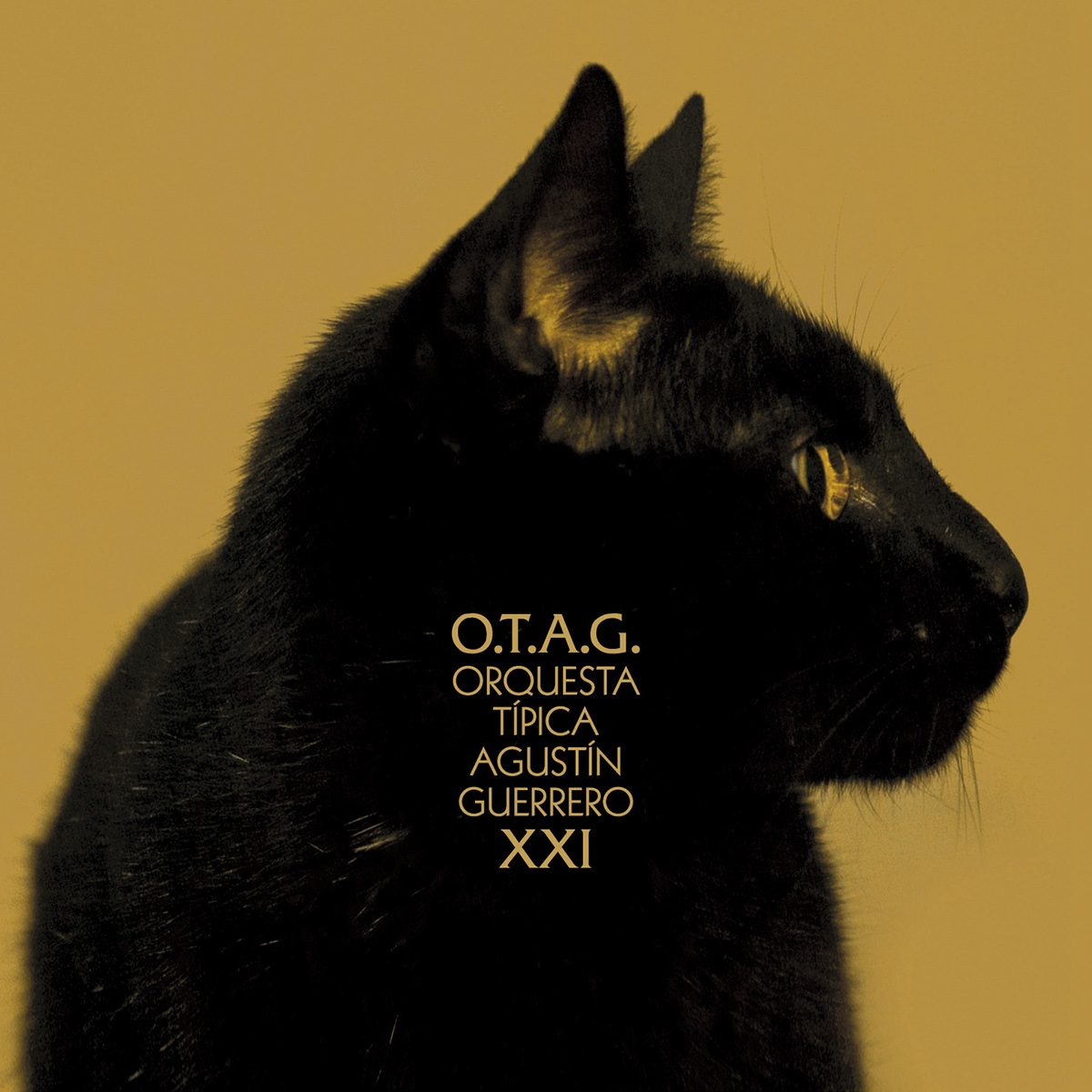 tango Cat otag argentina mirror artwork rompo pontenpie cd disc record Deluxe edition kitty