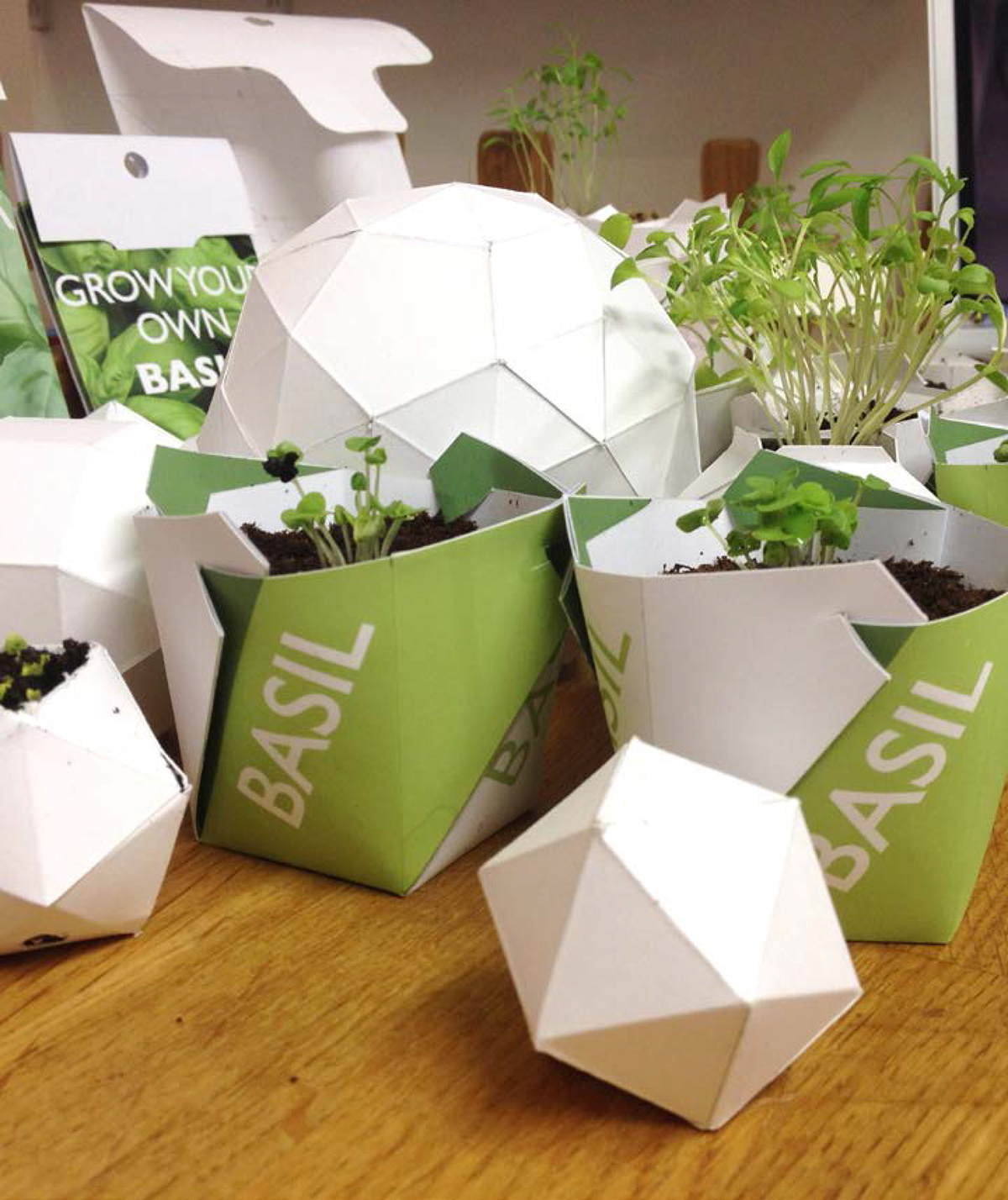 herbs Basil paper folding origami  plants