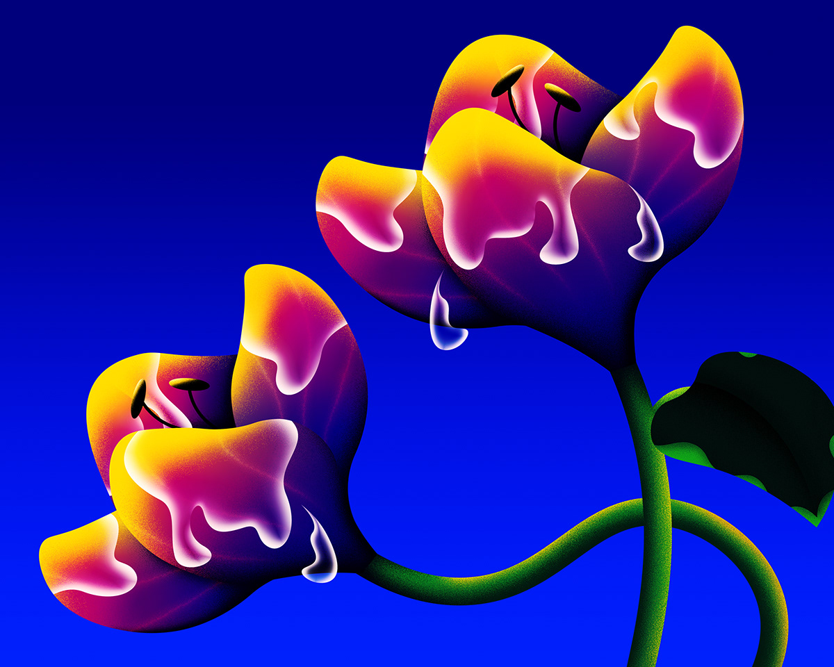 art artwork concept Digital Art  digital illustration floral ILLUSTRATION  print visual Flowers