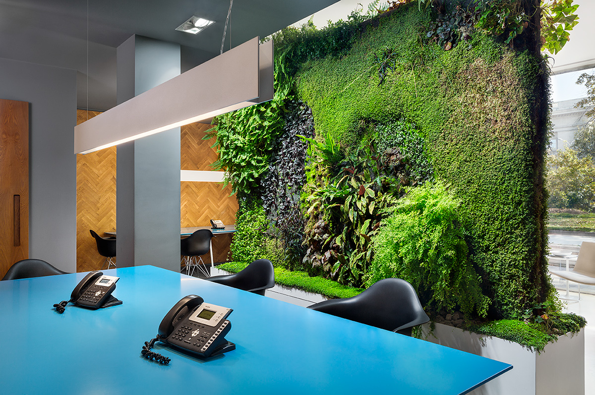 Office real estate agency Interior green wall green wall living Flowers parquet furniture table carpet