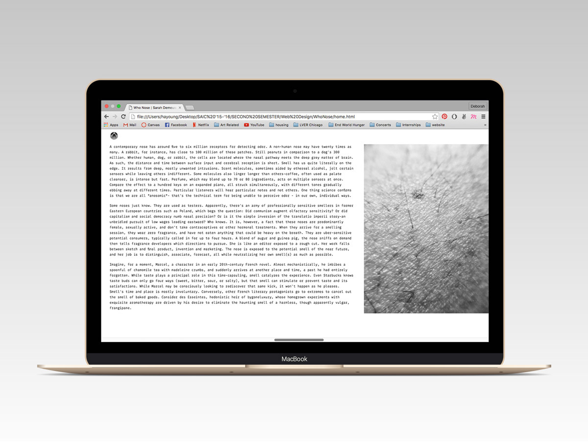 Website editorial conceptual nose SAIC Webdesign