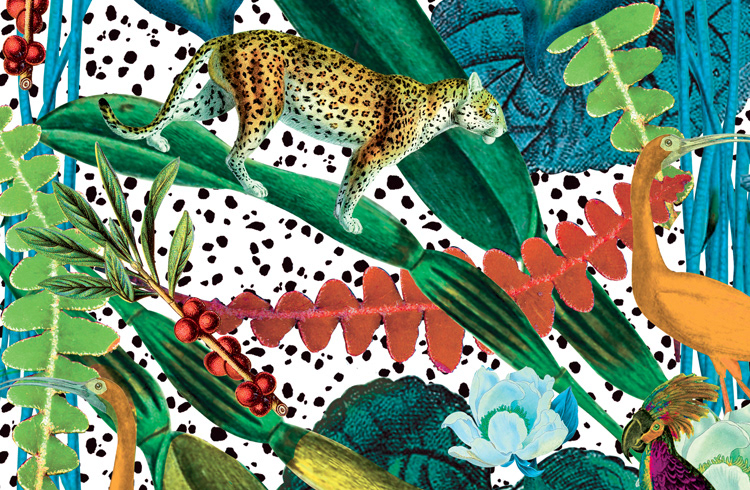 marque-page jungle panther colors collage