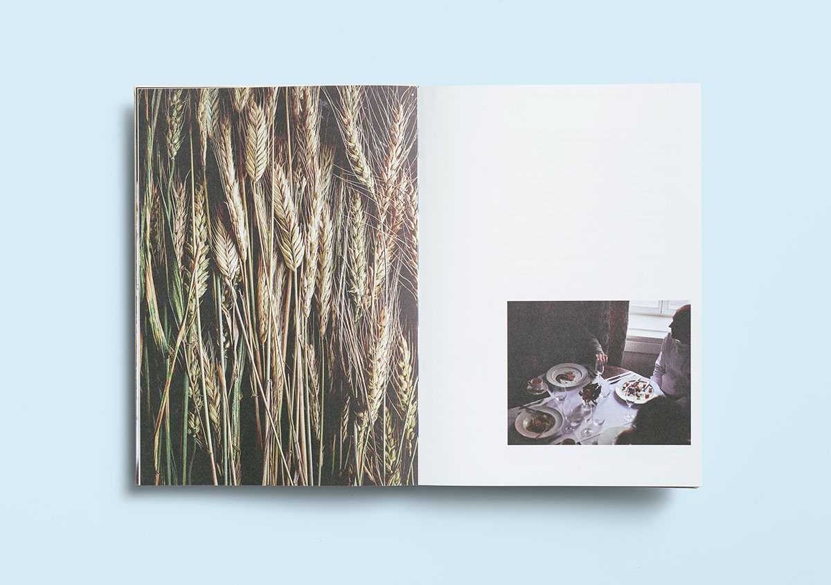 editorial book Layout clean modern lithuania Food  germany ILLUSTRATION  studio honest