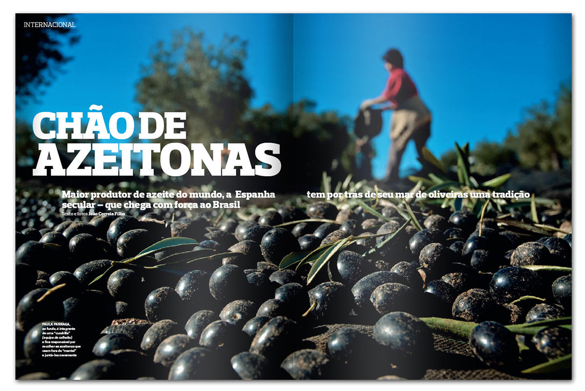 Graphic project - Globo Rural magazine on Behance
