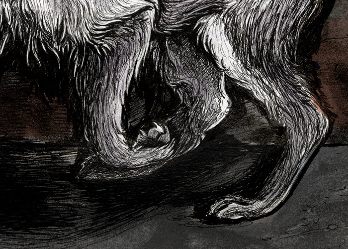 wolf wolves animal pen monochrome shutter Window door fear scared desire Rewilding