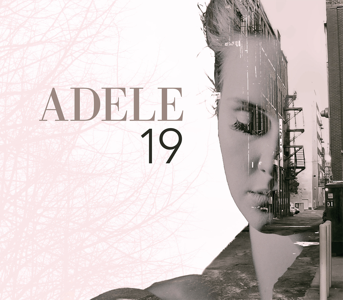 package design  product design  Layout Mockup Adele