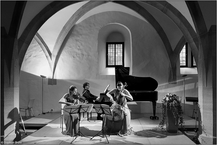Adobe Portfolio Oberon Trio music