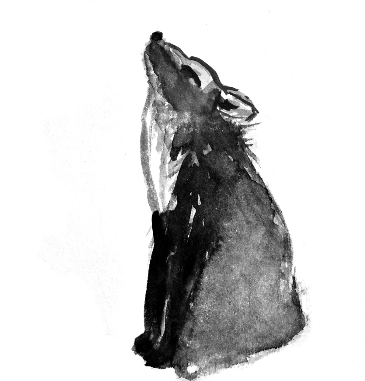 ink animals wood FOX book