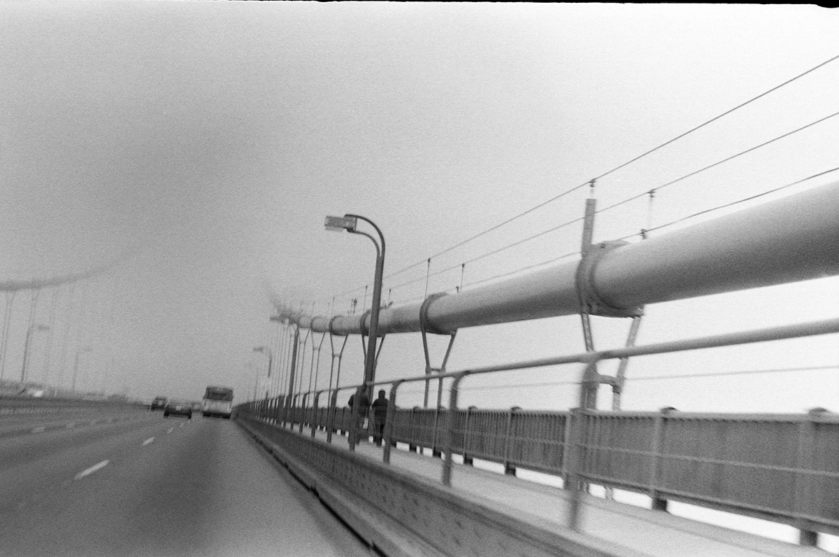 humboldt water Ocean Film   35mm forrest grainy black and white san fransisco RoadTrip