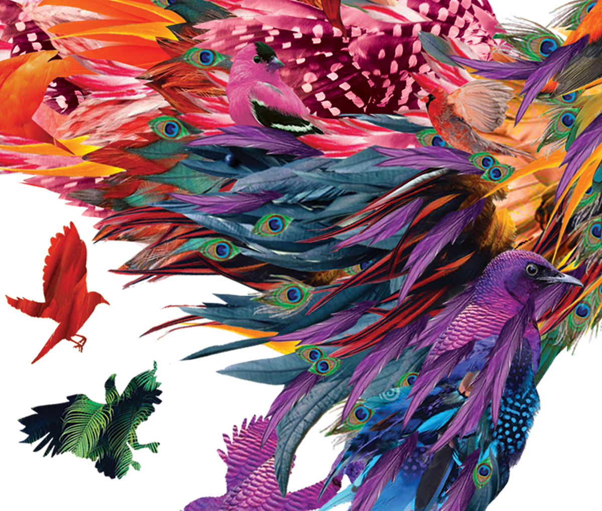 bird simurg feathers Phoenix italian design poster collage