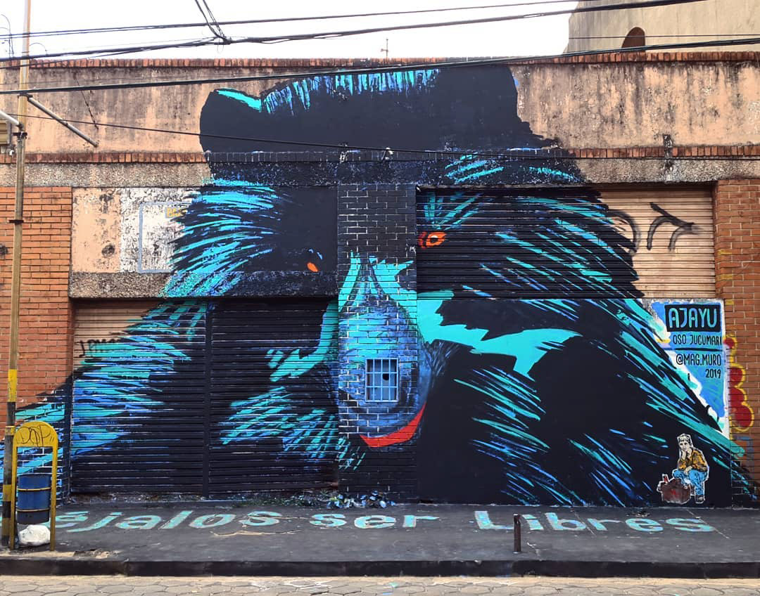 bear spectacled bear Mural mural art Street Art  wildlife South America bolivia santa cruz