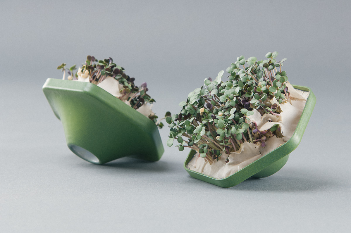 microgreens plants Plant design innovation Major project grow healthy eating