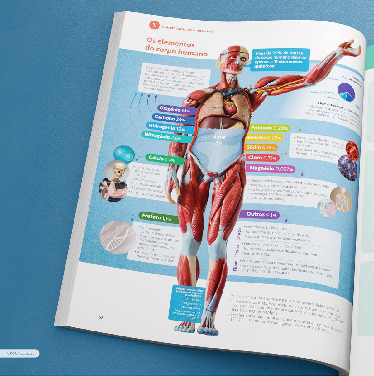 textbook Layout 3Dillustration