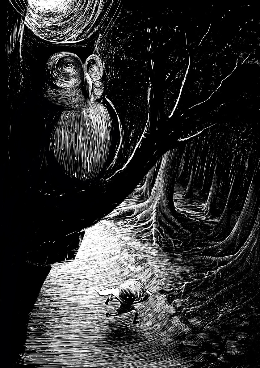 owl night run boy spooky quest forest dark contrast path trees wisdom cape