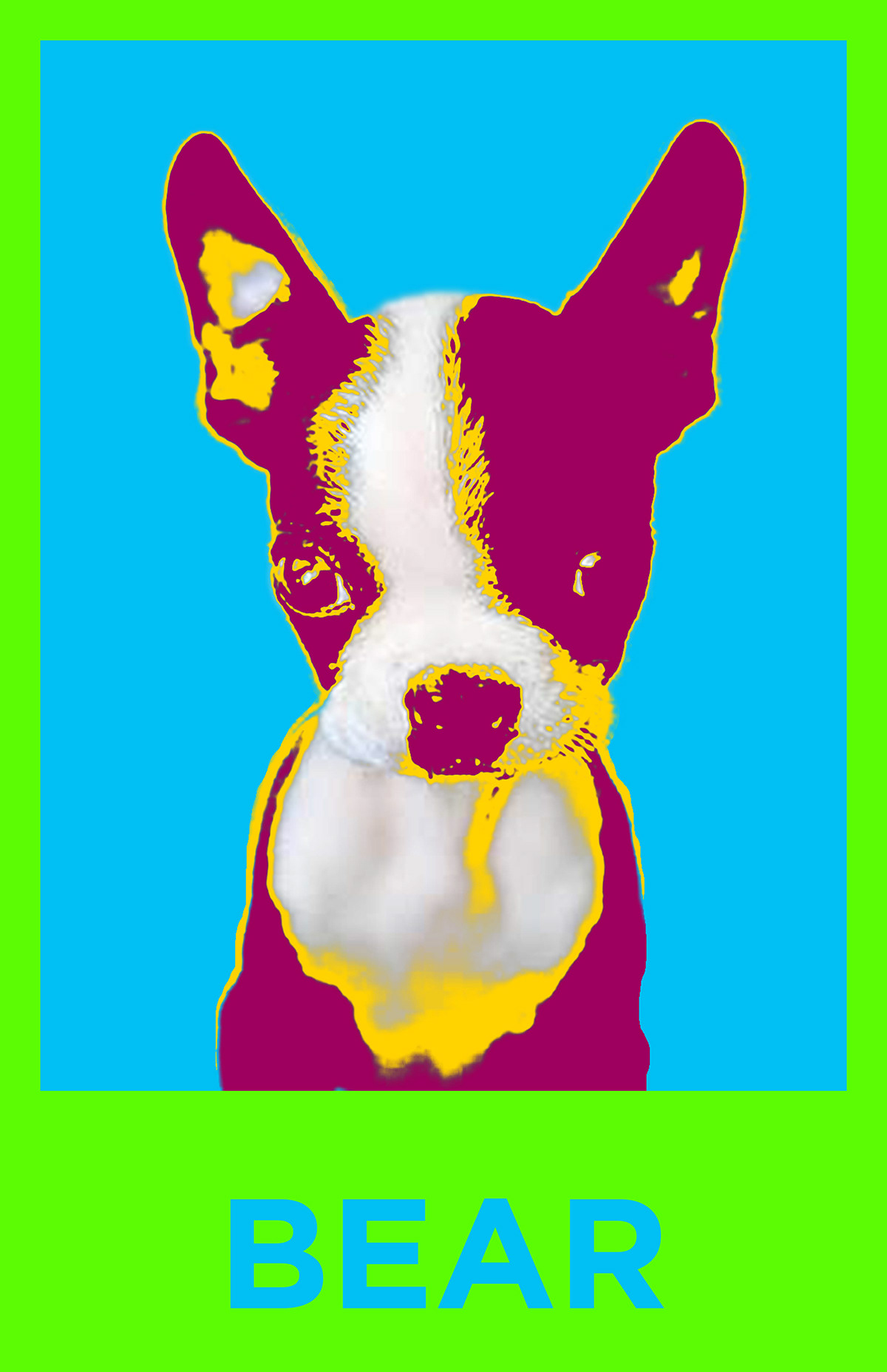 boston terrier boston puppy dog poster Pop Art warhol color photoshop bright Diggy bear monster cute animals