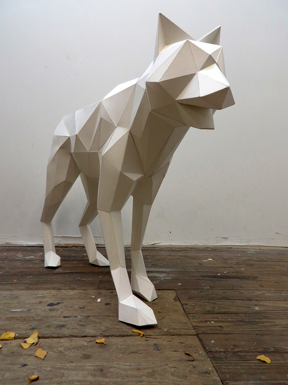 wolf paper paper model 3D Modelling animal 3D digital virtual Paul Cummings  mark cummings Bockingford paper KNK Air Peparuka cinema 4d paper craft