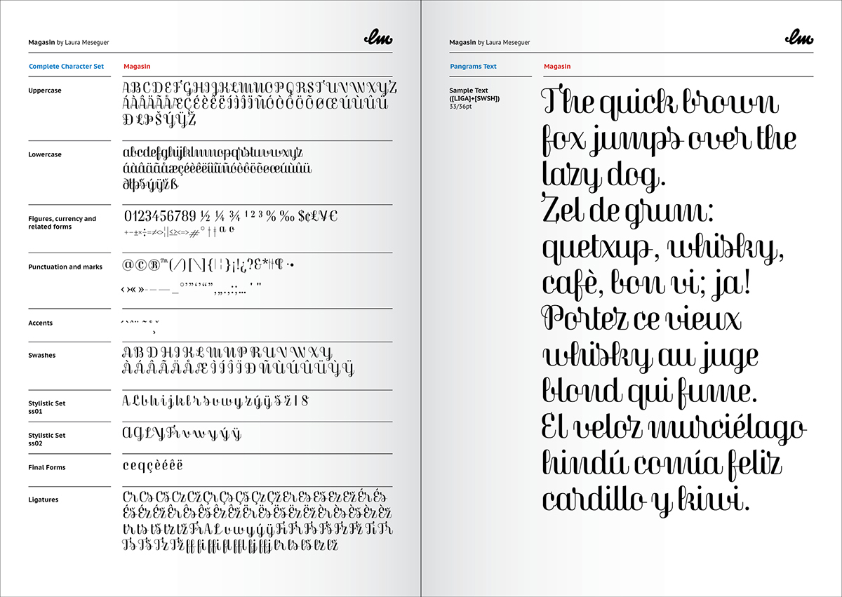 Display  lettering  type design calligraphic Script