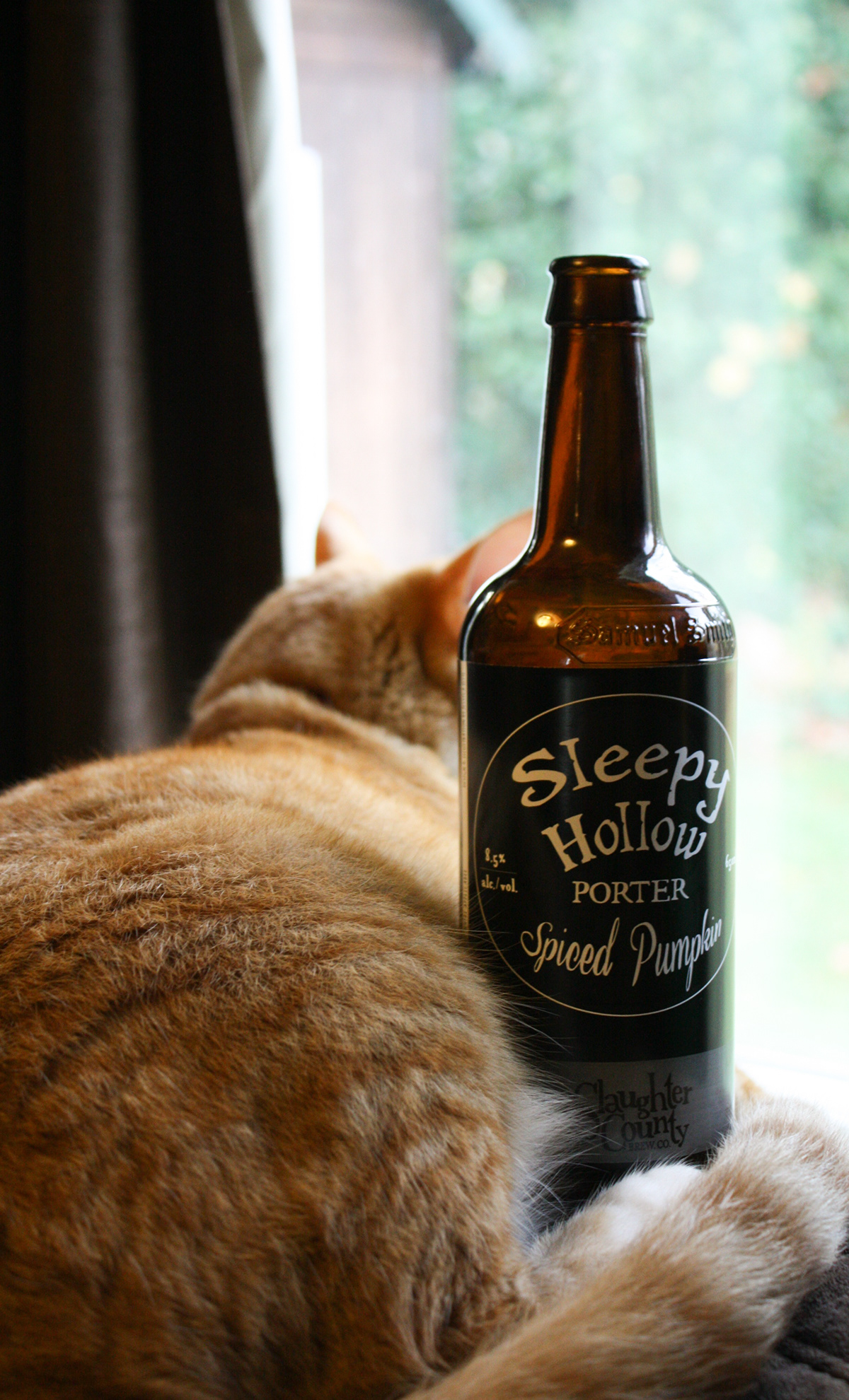 catbeer Sleepy Hallow porter beer label