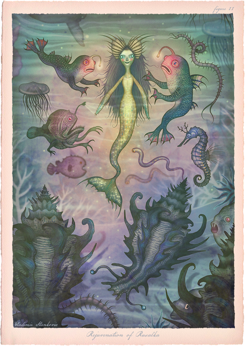 fairy tale sea creatures mermaids narwhal cryptozoology sea animals mermaid art sea life mermay mermay2020