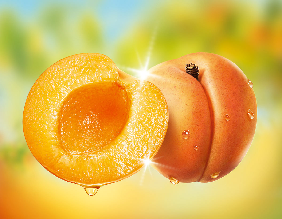 Super juicy realistic photographic fresh apricots in the summer sunshine.