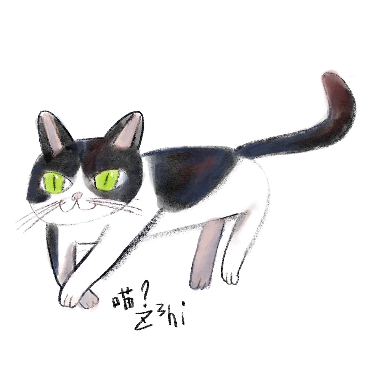 Cat cats design characterdesign ILLUSTRATION  doodle