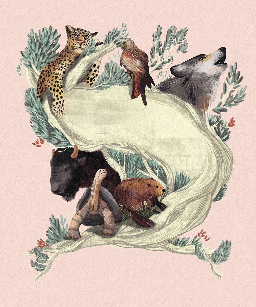 animals children's book cover digital illustration ILLUSTRATION  Nature nonfiction book