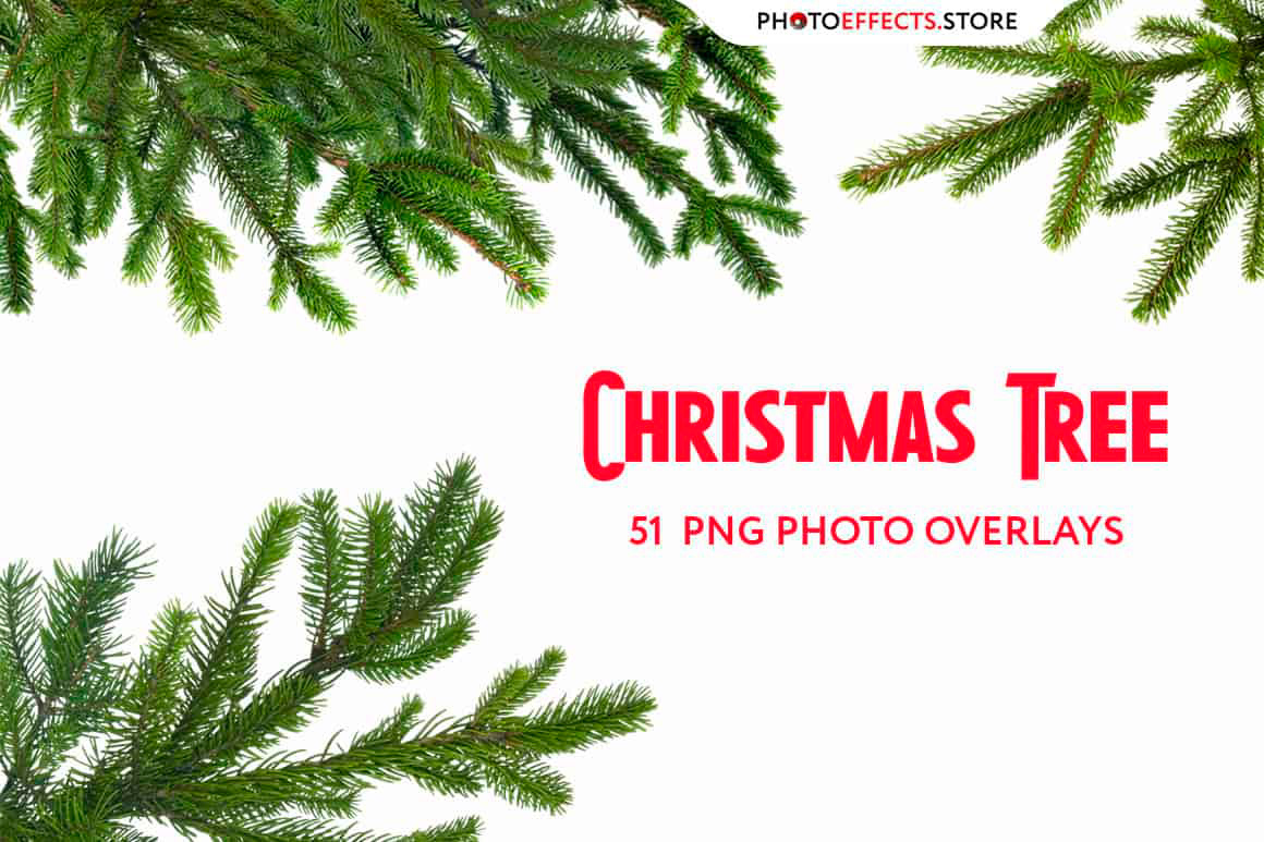 Blossom Branch branch clip art Branch Overlays branches branches clipart christmas Tree photo overlays tree branch Tree Branch Clipart tree branches