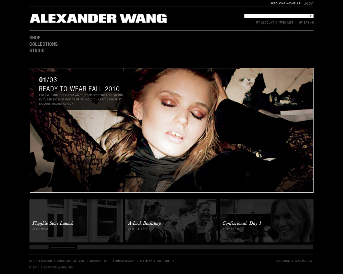 Alexander wang Ecommerce Web Web Design  Fashion 
