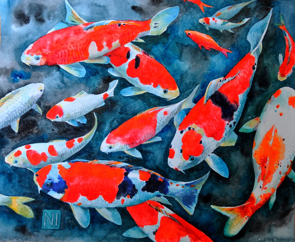 koi fishes carp painting   red Nature watercolor illustrations
