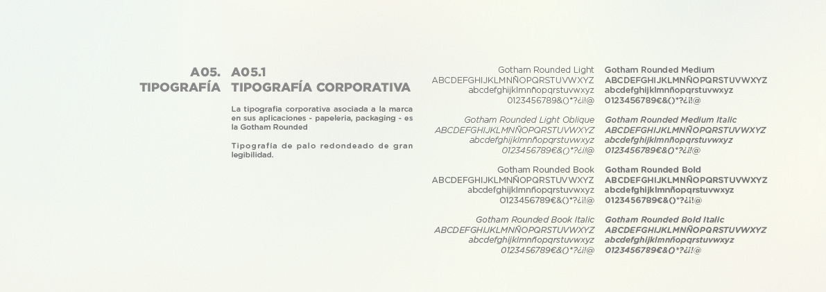 corporate identity manual brand dream logo corporative letter busssines card cards bag