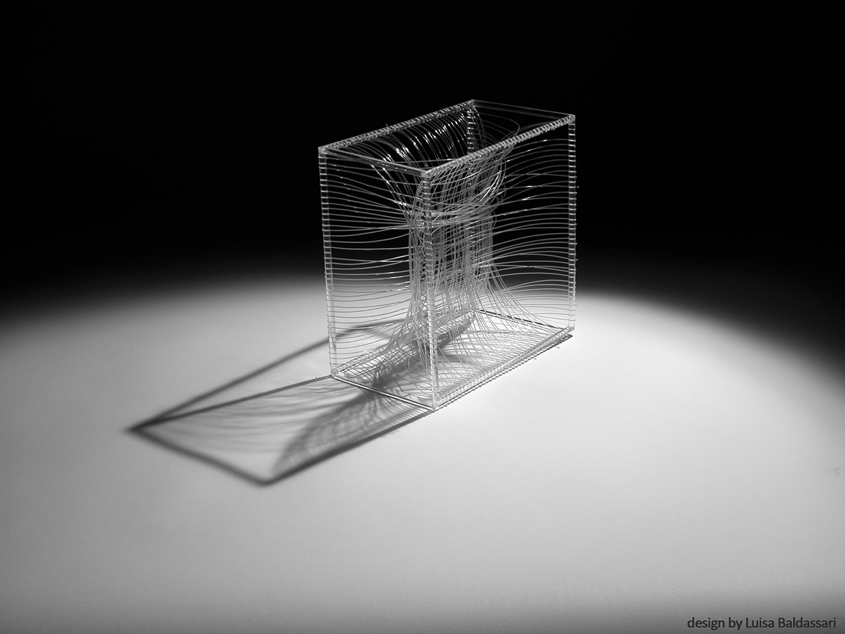 Web  net object catcher spider web transparet box