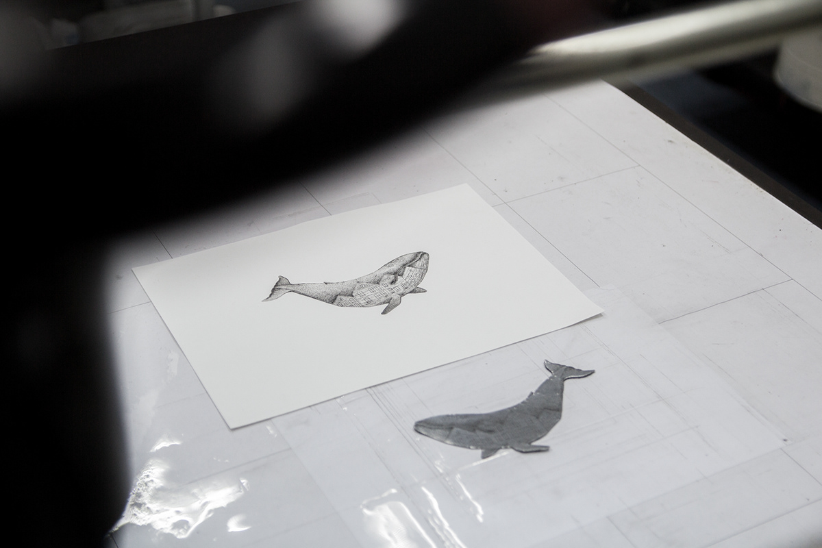 printmaking etching intaglio ILLUSTRATION  Whale animal studio