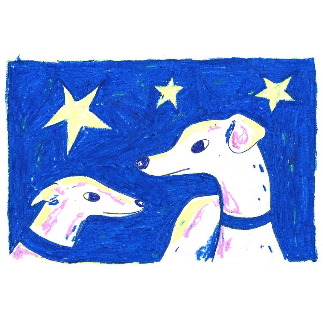 animal dog dog illustration Drawing  galgos greyhound ILLUSTRATION  Pet