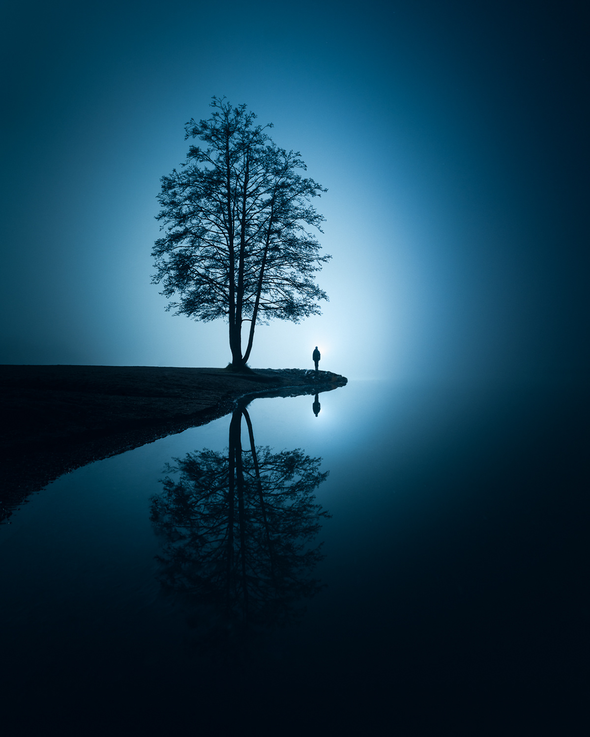 A still night view of a tree and a person at the lake. 