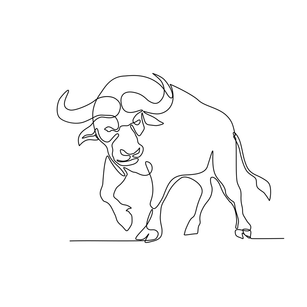 continuous line Mono line african buffalo cape buffalo african bovine Buffalo bull charge