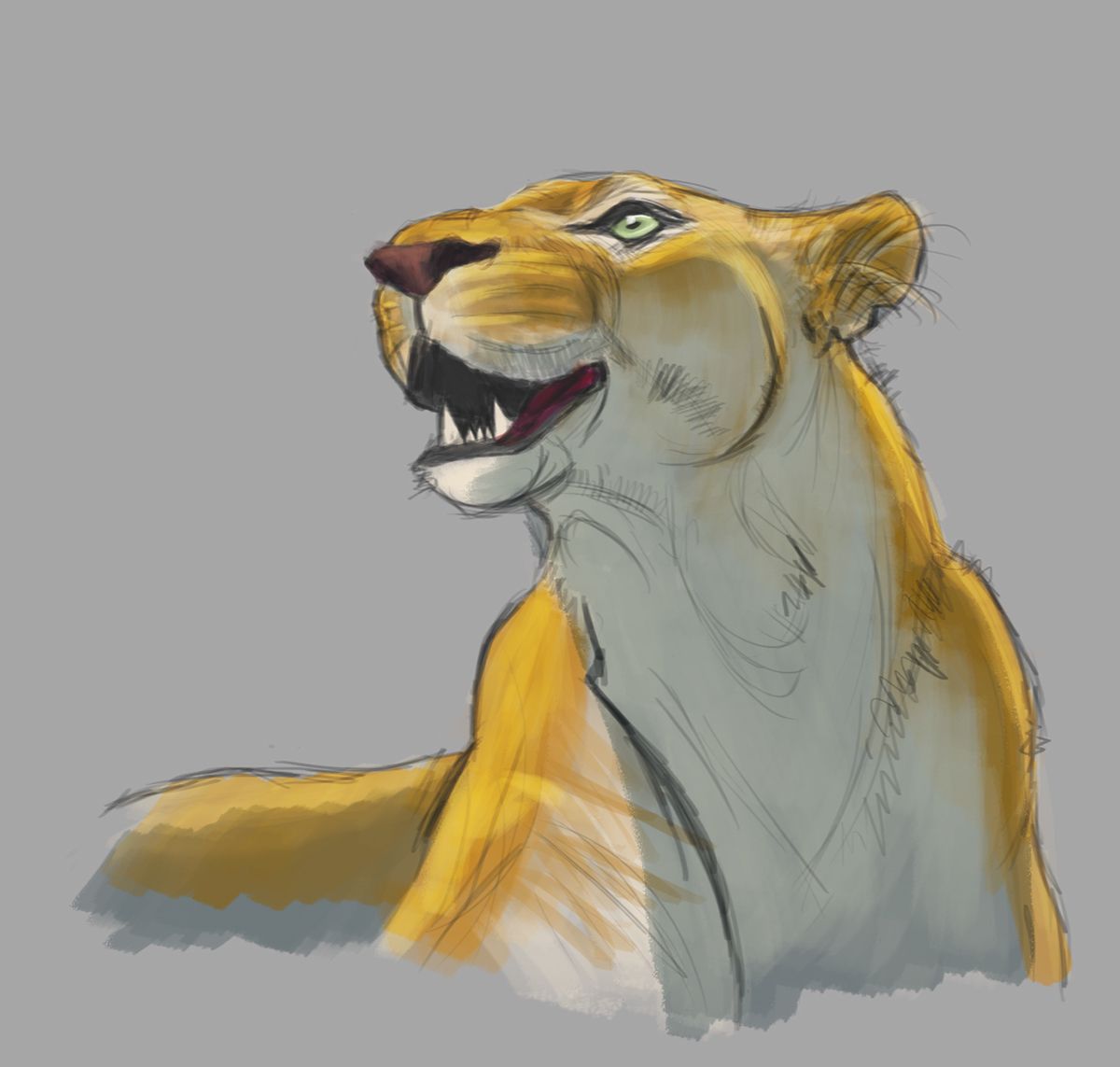 leopard wild sketch digital painting