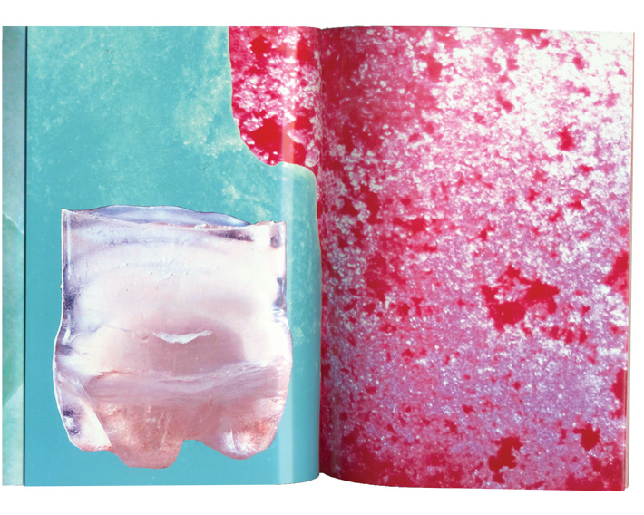 print book soda Ice King ice sculpture design color