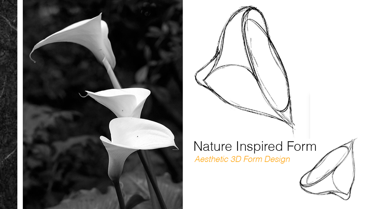 design flower Form ideation industrial design  modelling Nature product design  sketching xps