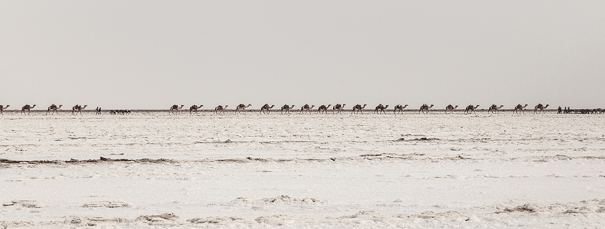 Adobe Portfolio Travel Documentary  ethiopia Danakil Depression Salt Saltlakes camels caravans desert Hot
