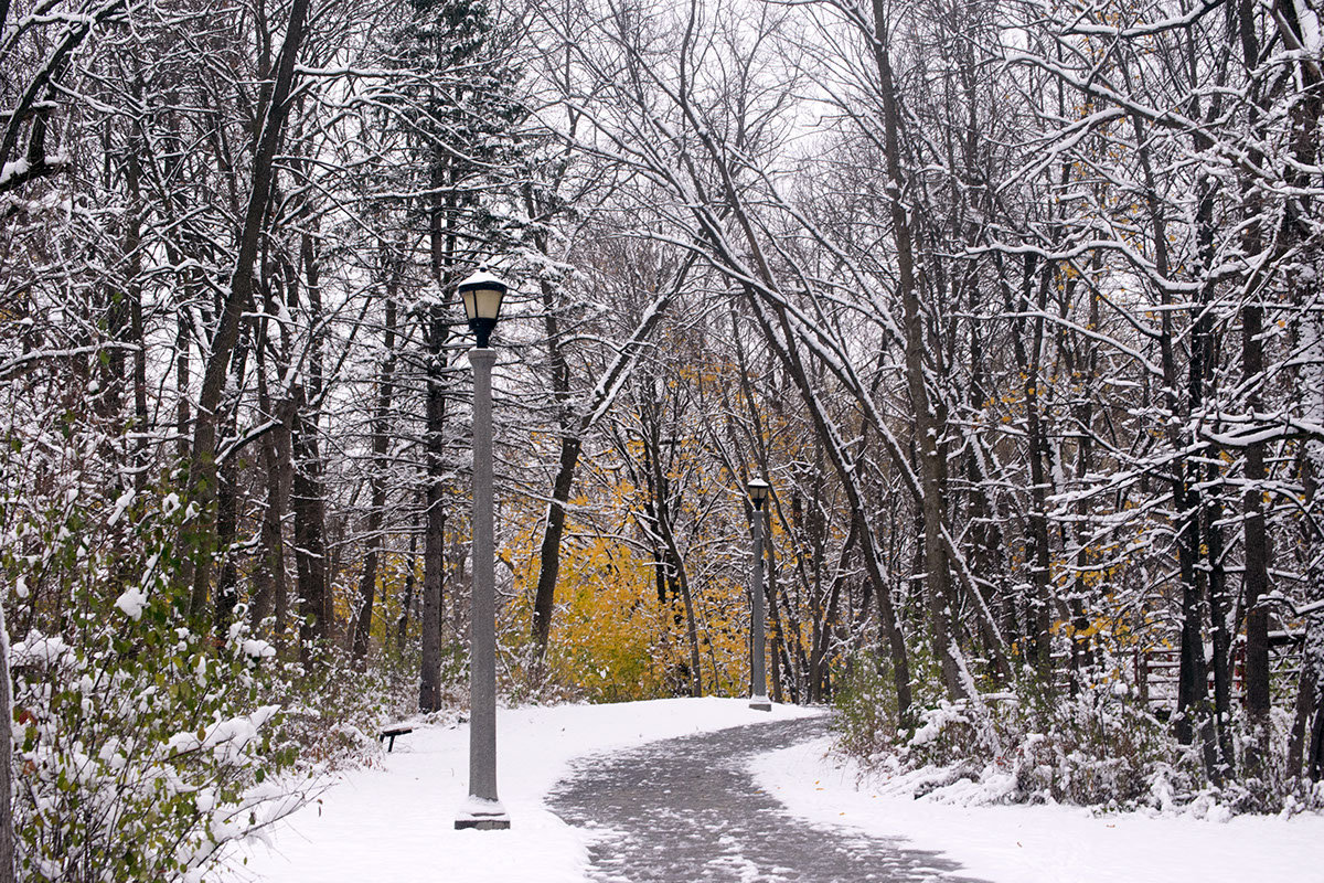 Winter Wonderland Winter in Wisconsin