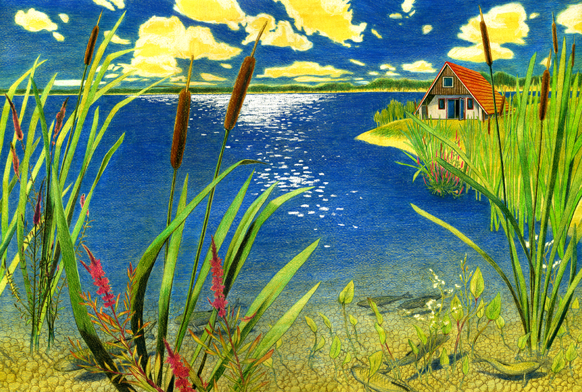 ILLUSTRATION  Drawing  colored pencil lake fish house nature drawing Nature trees crane