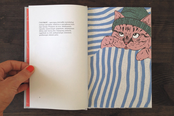 catbook book martiszu marta ludwiszewska ink drawing print wechterowicz media rodzina cats book design