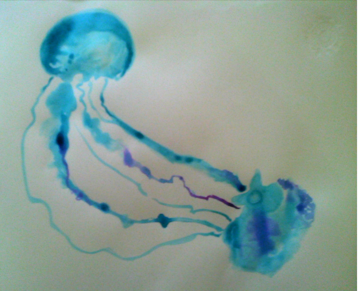 jelly Chinese Ink fish colours