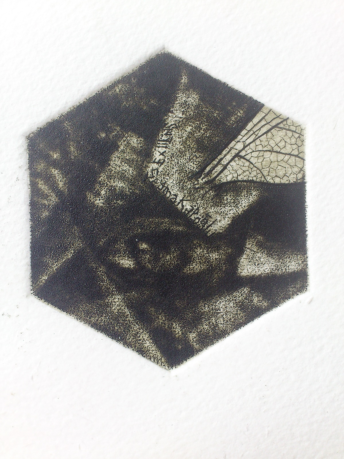 exlibris Ex Libris mezzotint aquatint etching DryPoint
