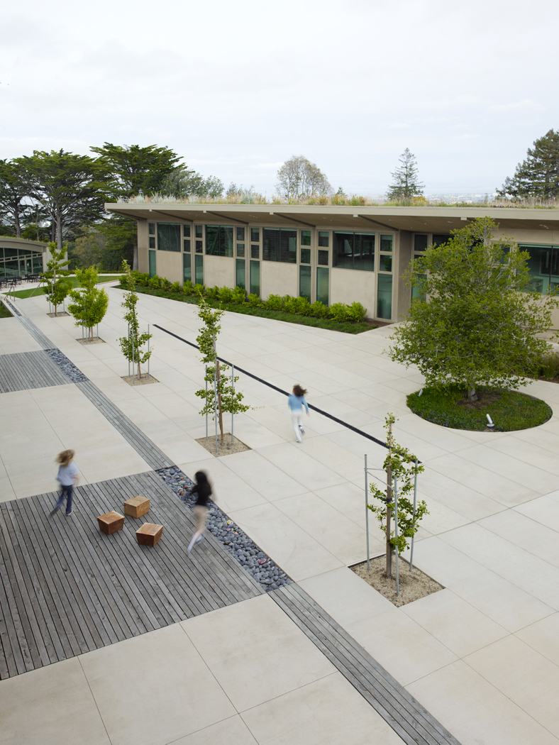 Green Roof school amphitheater