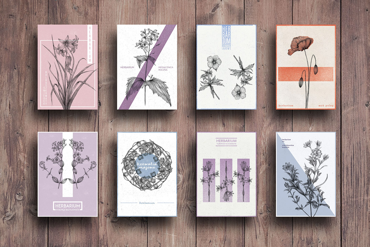 Flowers posters Herbarium Nature polish