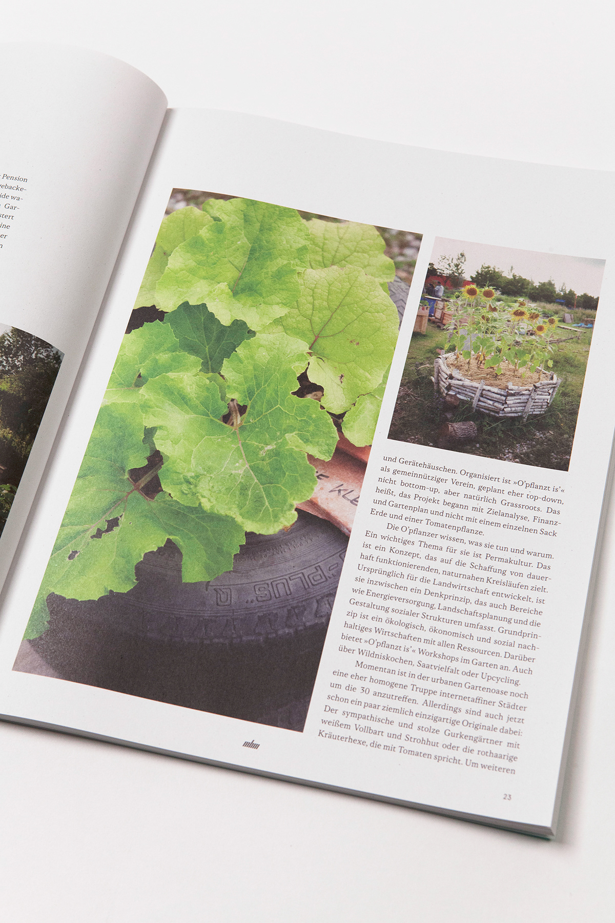 magazine green munich University bewusst Layout print