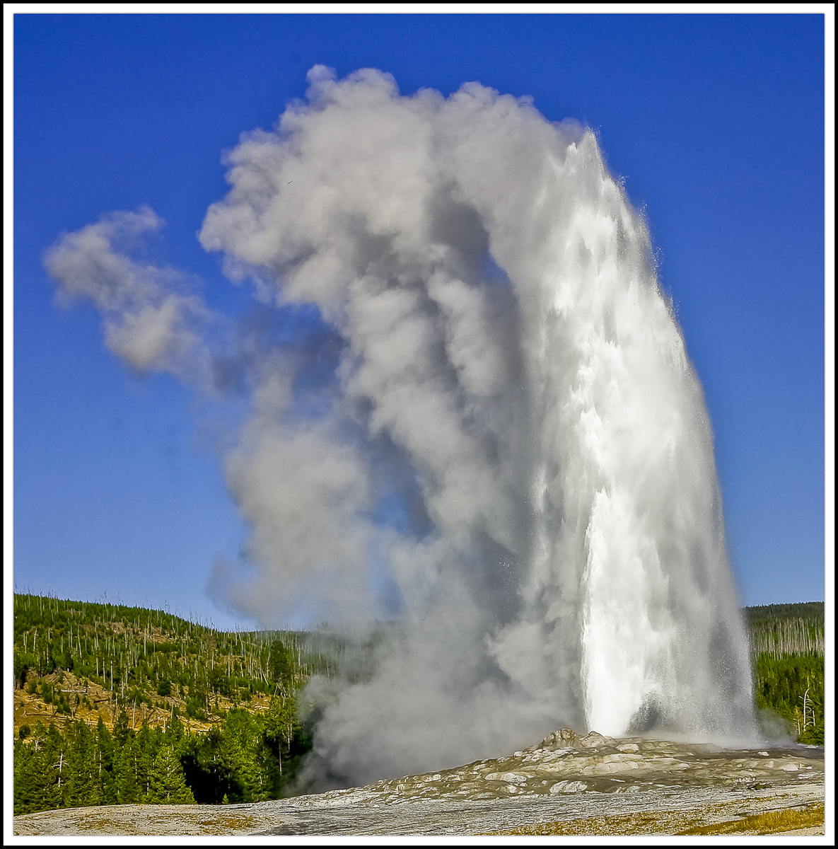 Old Faithful